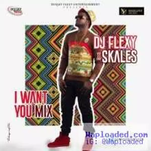 DJ Flexy - I Want You Mix ft. Skales